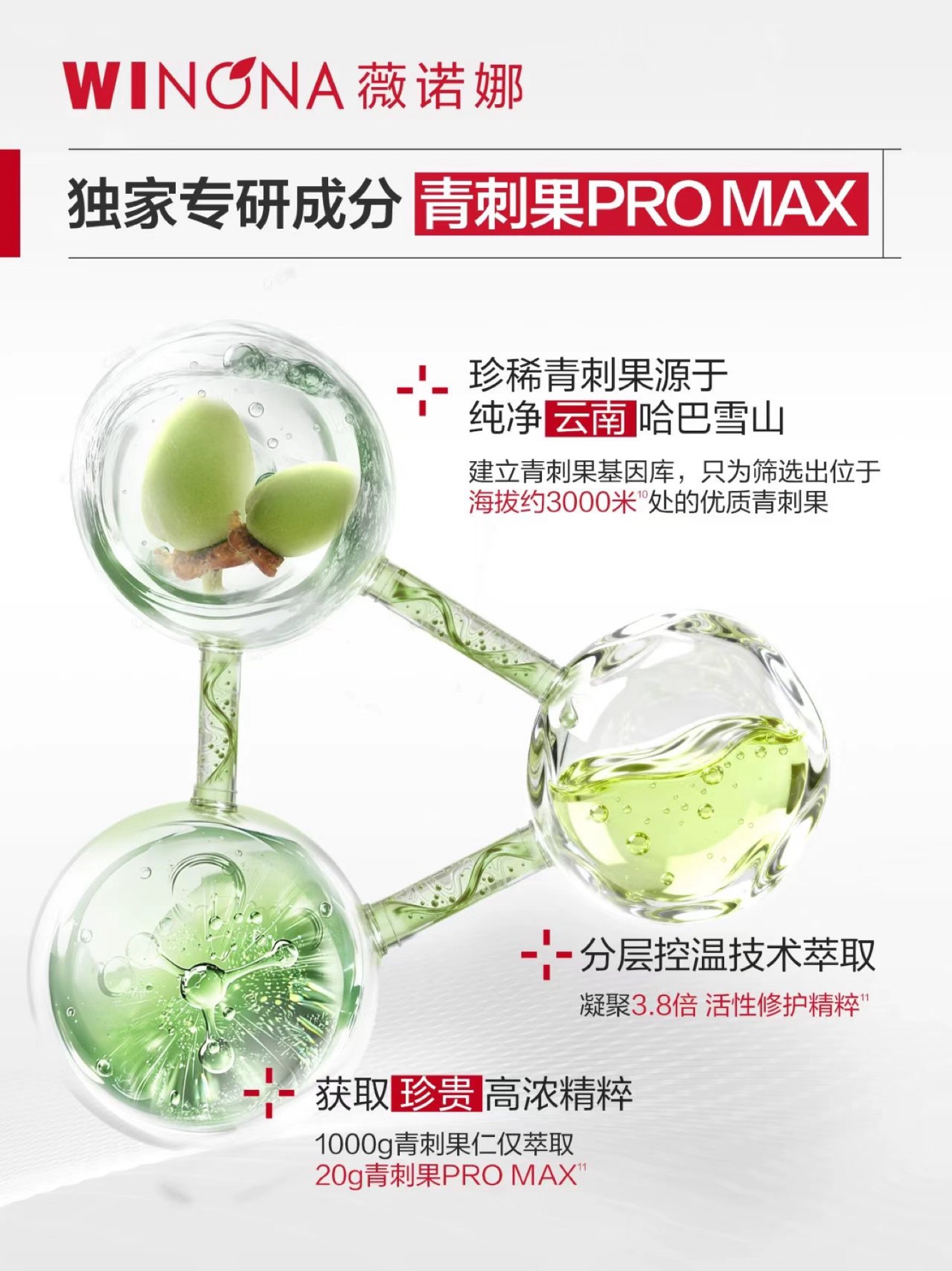 独家专研 青刺果PRO MAX
