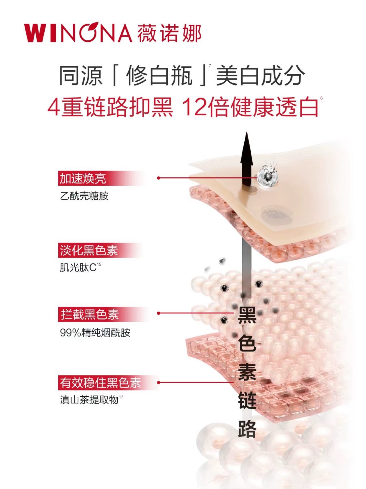 4重链路抑黑 修白成分
